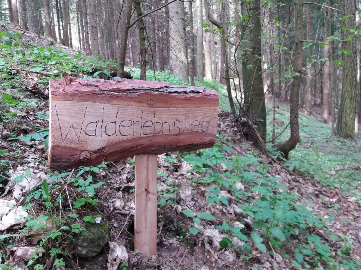 Ferienwohnungen Lichtenegger Kamp Esterno foto